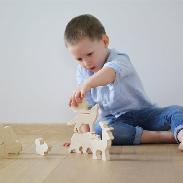 Wooden Scientific And Educational Toys For Children